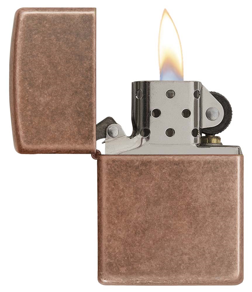 Front shot of Zippo Bejeweled Beetle Design High Polish Brass Windproof Lighter standing at a 3/4 angle.
