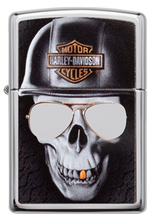 Harley-Davidson&#174;