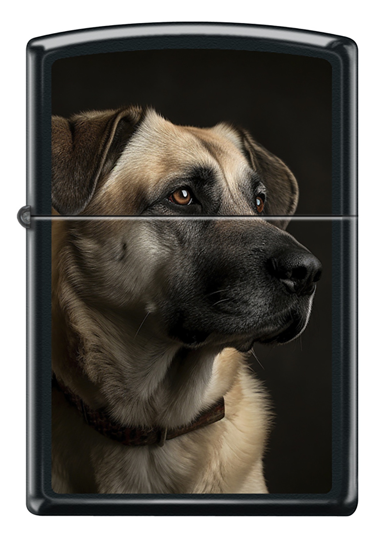 Front shot of Zippo Bejeweled Beetle Design High Polish Brass Windproof Lighter standing at a 3/4 angle.