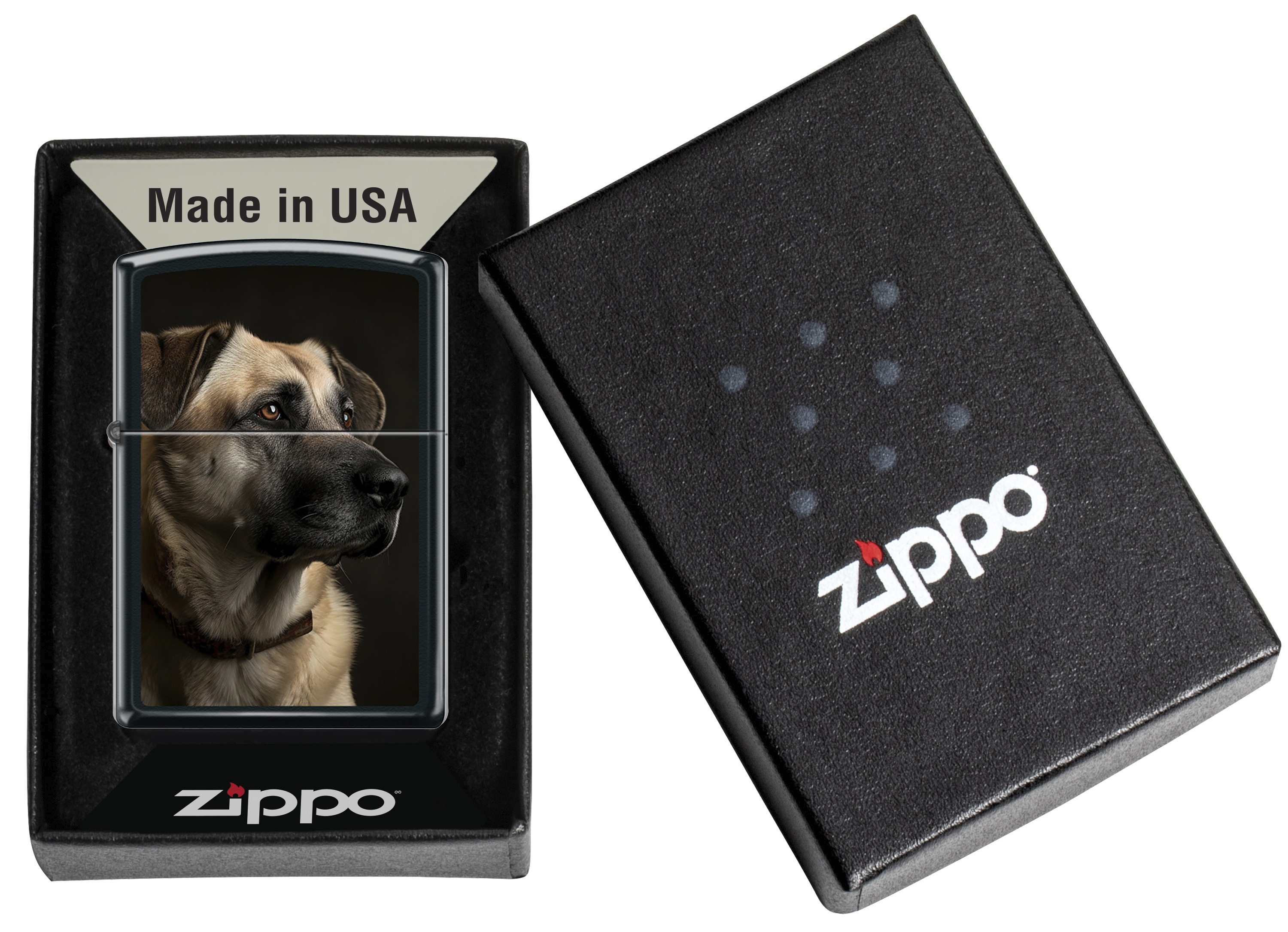 Front shot of Zippo Bejeweled Beetle Design High Polish Brass Windproof Lighter standing at a 3/4 angle.