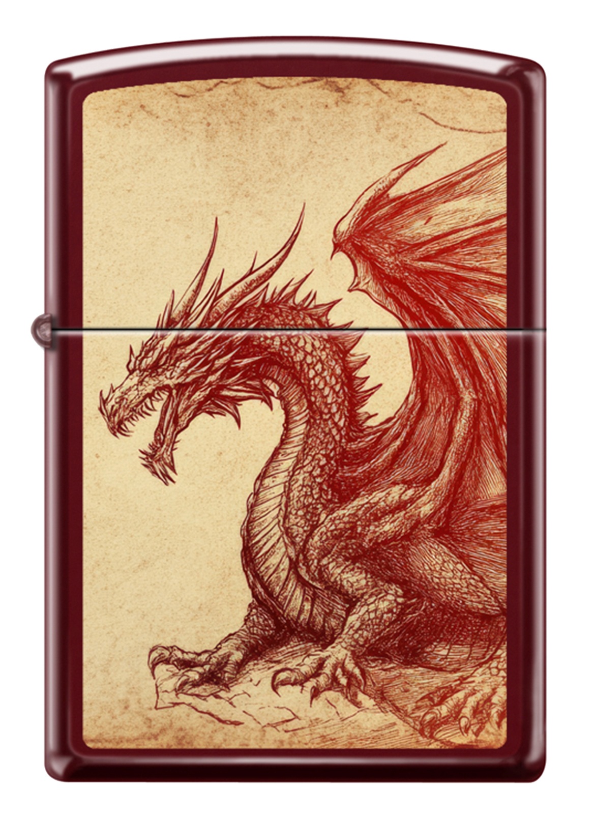 Front shot of Zippo Bejeweled Beetle Design High Polish Brass Windproof Lighter standing at a 3/4 angle.