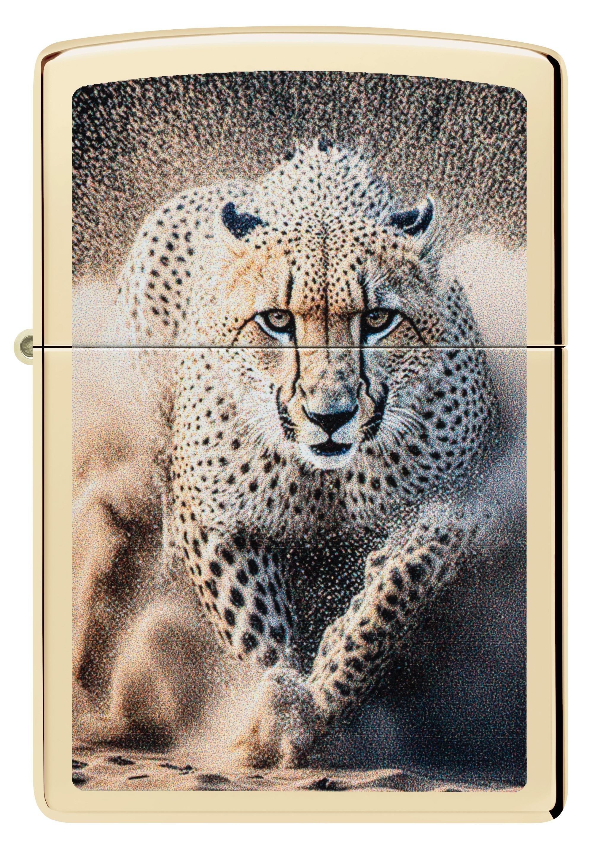 Front shot of Zippo Bejeweled Beetle Design High Polish Brass Windproof Lighter standing at a 3/4 angle.