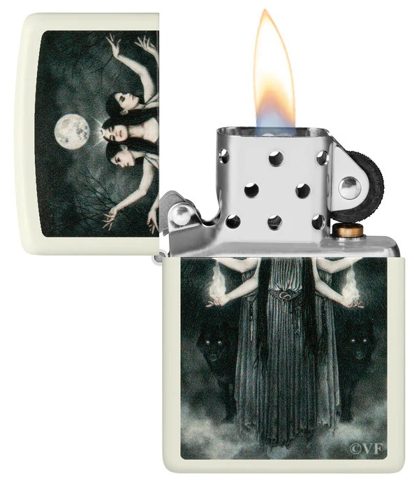 Front shot of Zippo Bejeweled Beetle Design High Polish Brass Windproof Lighter standing at a 3/4 angle.