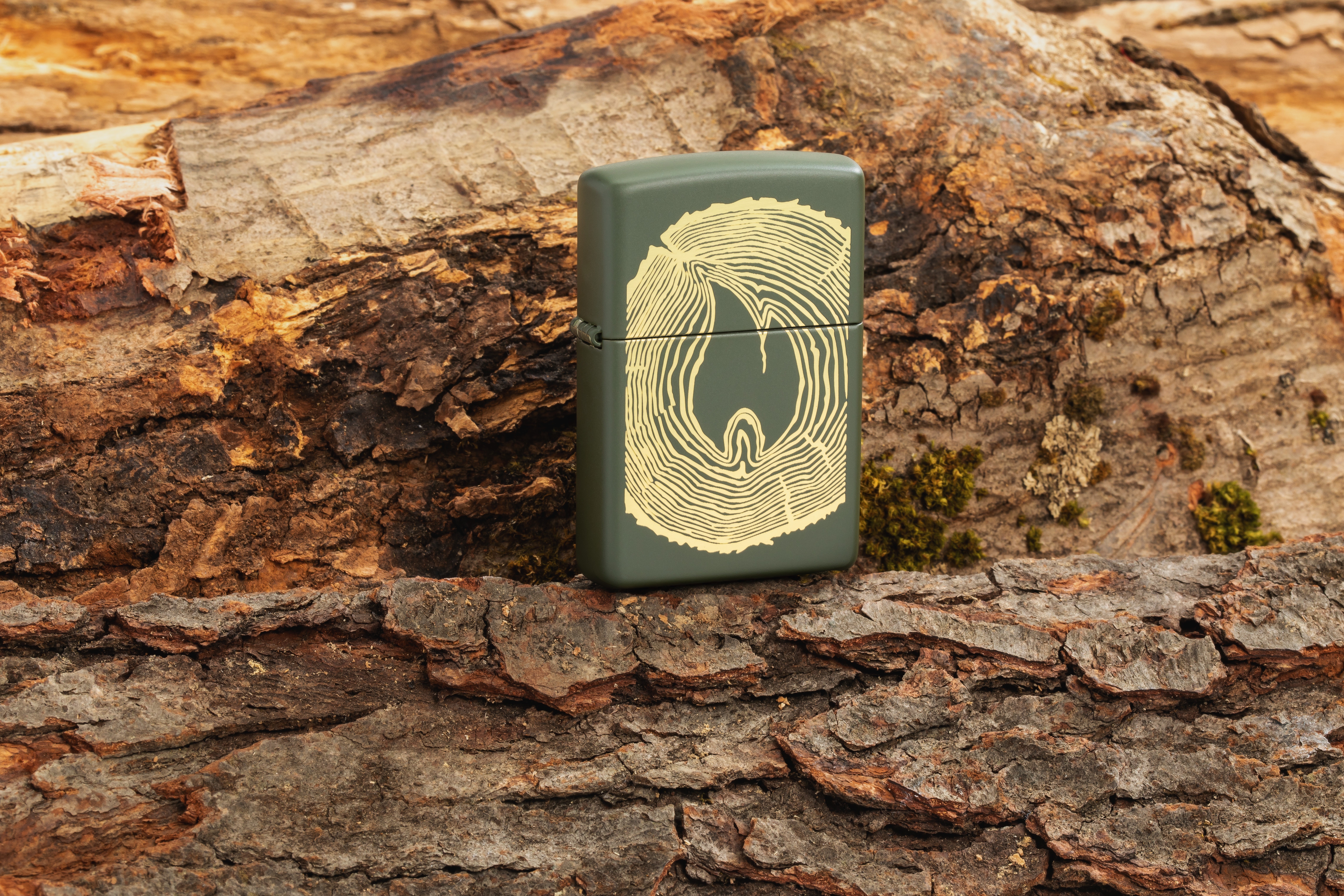 Front shot of Zippo Bejeweled Beetle Design High Polish Brass Windproof Lighter standing at a 3/4 angle.