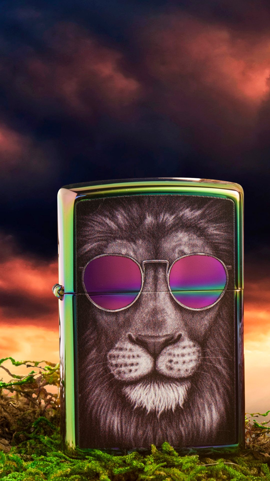 Front shot of Zippo Bejeweled Beetle Design High Polish Brass Windproof Lighter standing at a 3/4 angle.