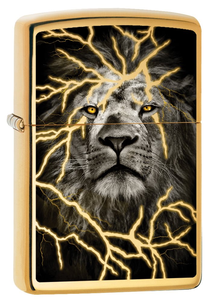 Front shot of Zippo Bejeweled Beetle Design High Polish Brass Windproof Lighter standing at a 3/4 angle.