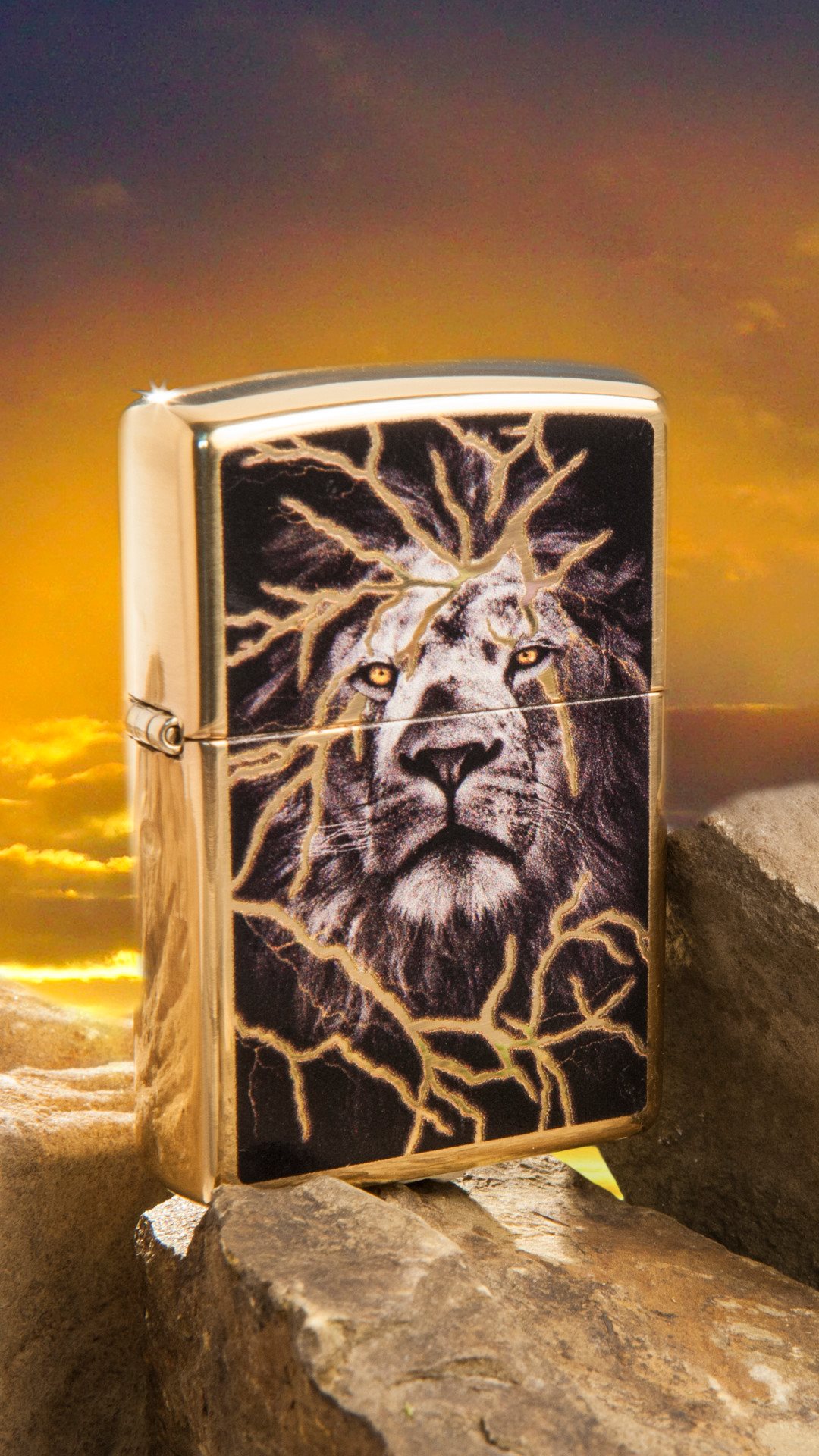 Front shot of Zippo Bejeweled Beetle Design High Polish Brass Windproof Lighter standing at a 3/4 angle.