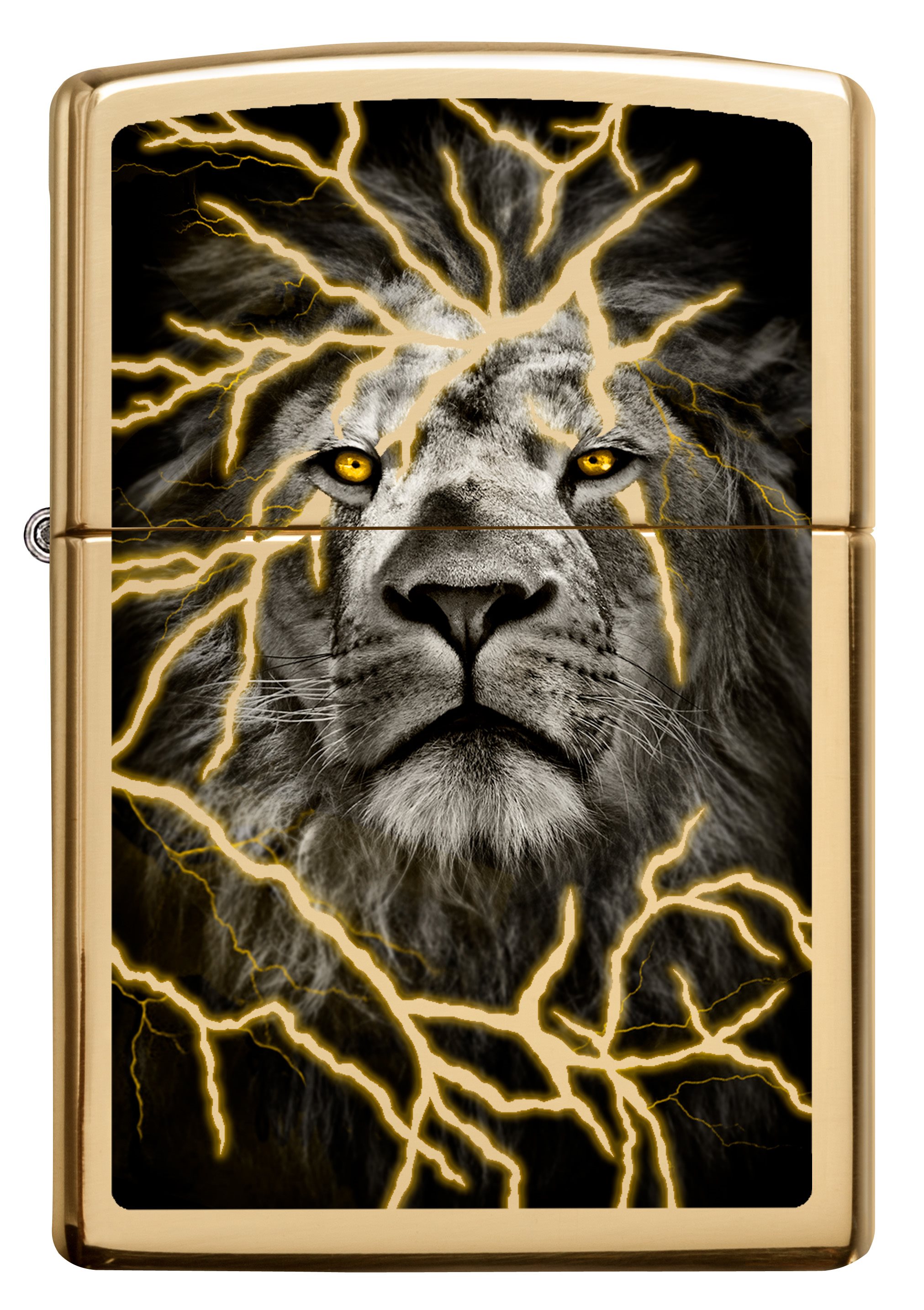 Front shot of Zippo Bejeweled Beetle Design High Polish Brass Windproof Lighter standing at a 3/4 angle.